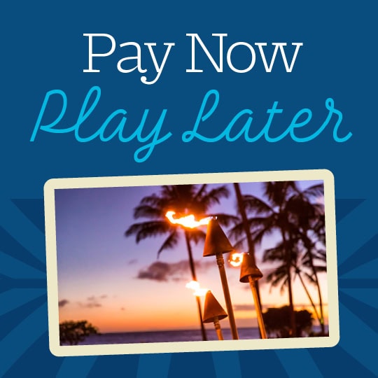 Pay Now, Pay Later palm trees at sunset Pay-Now_540x540